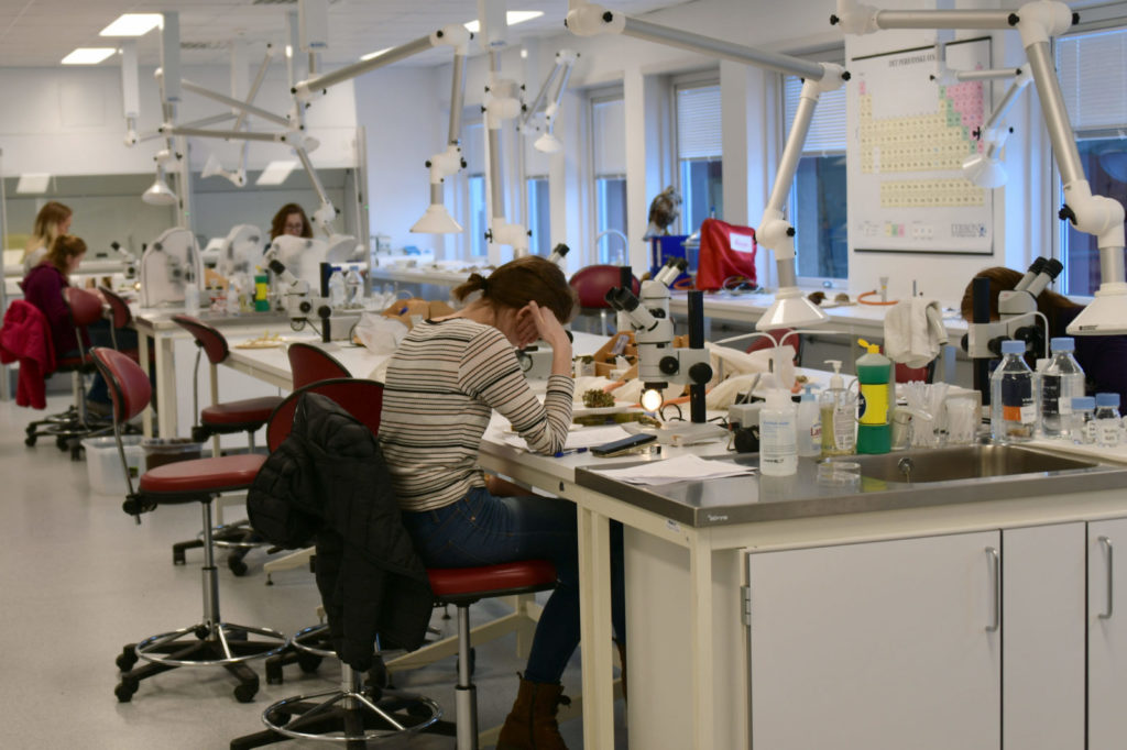 Laboratoriene brukes både til forskning og undervisning. Foto