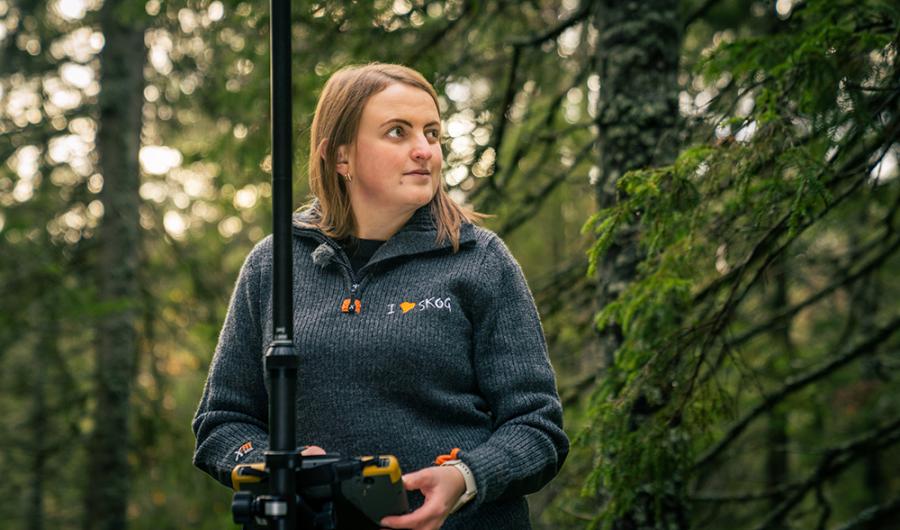 Bachelor i skogfag Nord Universitet